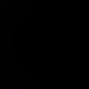 Meet your Posher, Riana